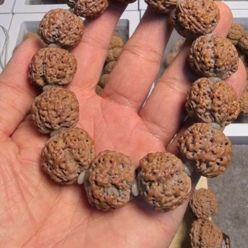 会****金刚菩提手串四瓣大金刚手串，22左右尺寸，原皮原色