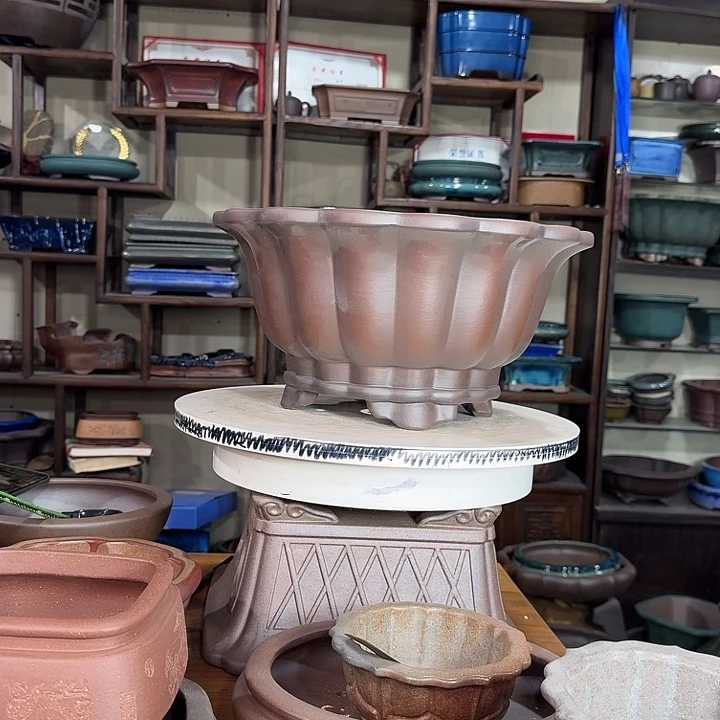 花***甲花盆紫砂加奎紫砂花盆