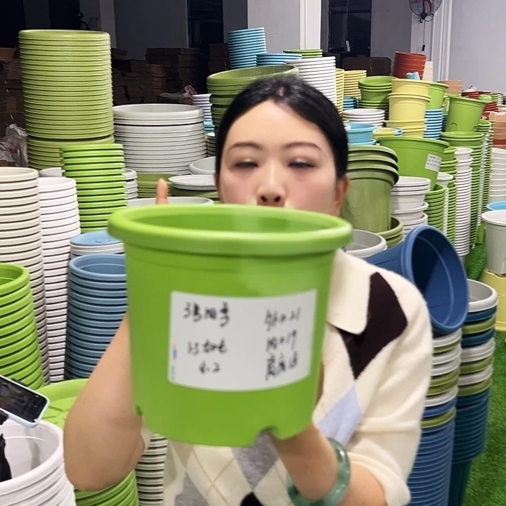 特价3号四季口21高18白色10只无托