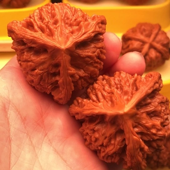 灰***蓝核桃核桃核桃核桃