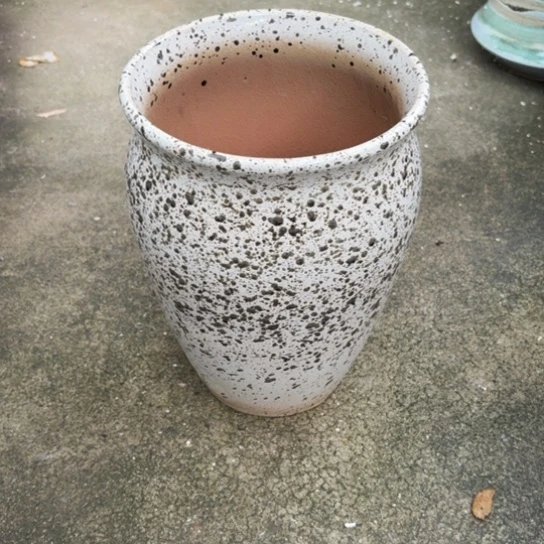 20/29瑕疵瑕疵的。