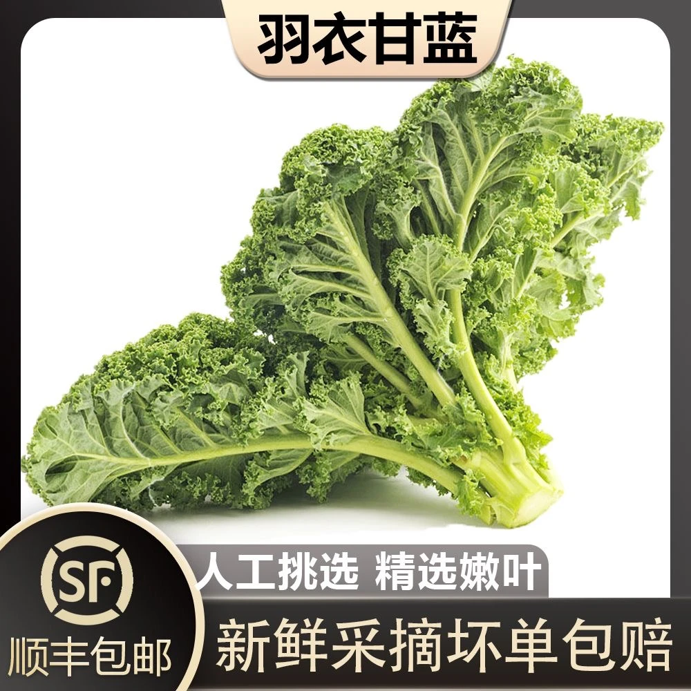 【顺丰/京东】新鲜羽衣甘蓝菜 嫩叶kale健身减新鲜榨汁蔬菜羽衣甘兰