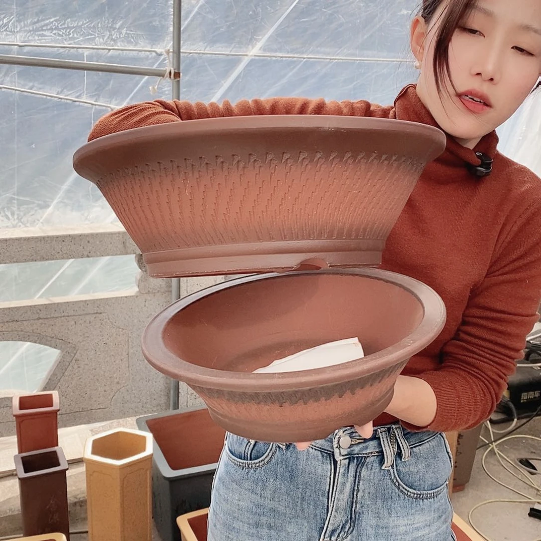 紫砂花盆紫砂花盆