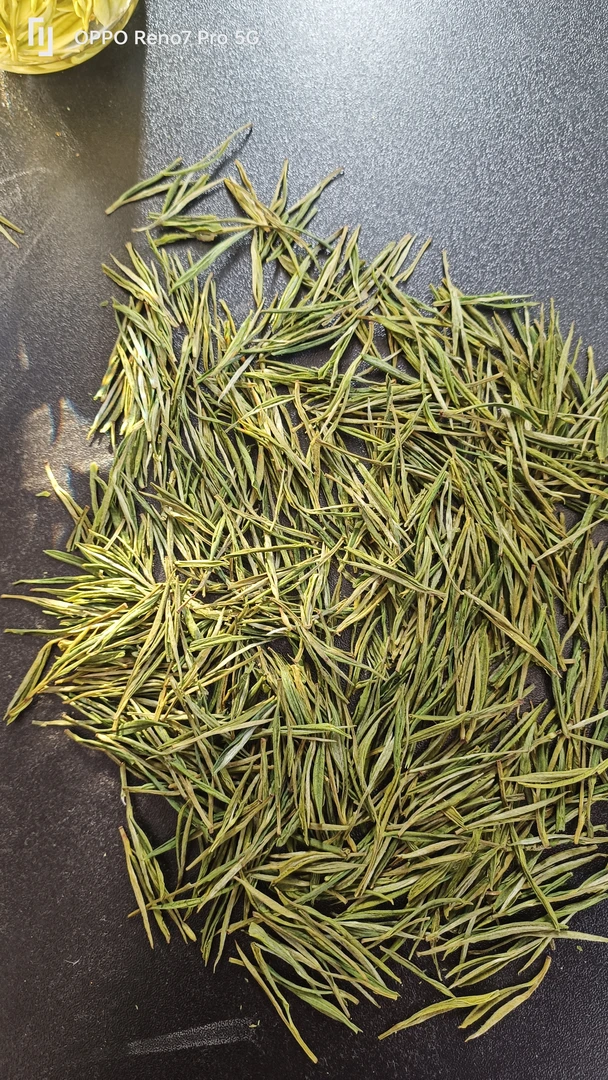 2024年安吉白茶(助农款讲究滋味看过来)发货晶龙茶场