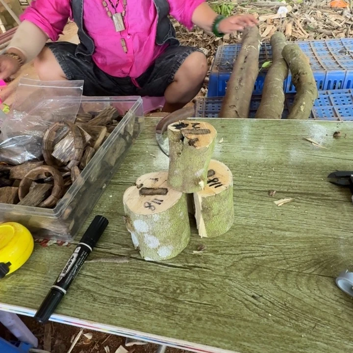 线香奇楠沉香原木