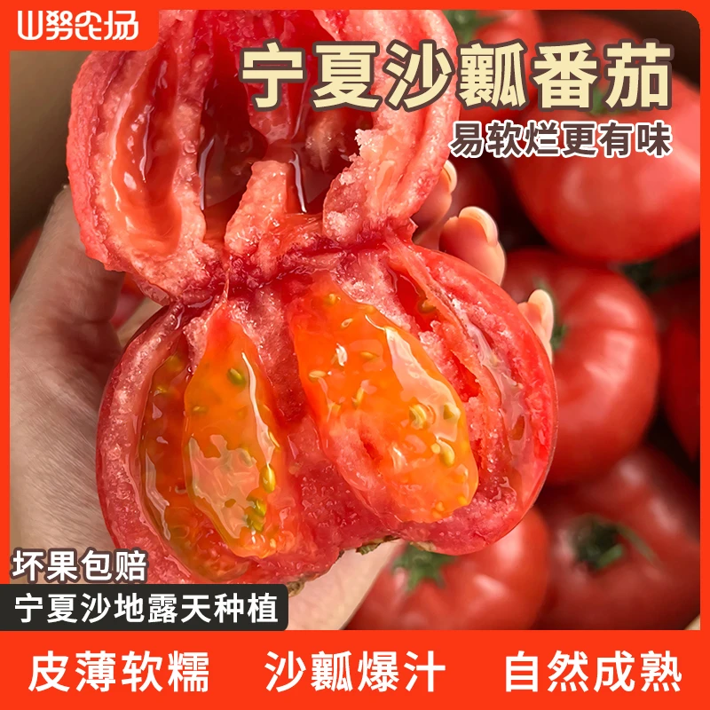 山努宁夏沙漠沙瓤番茄自然熟新鲜软糯多汁西红柿水果蔬菜生吃柿子
