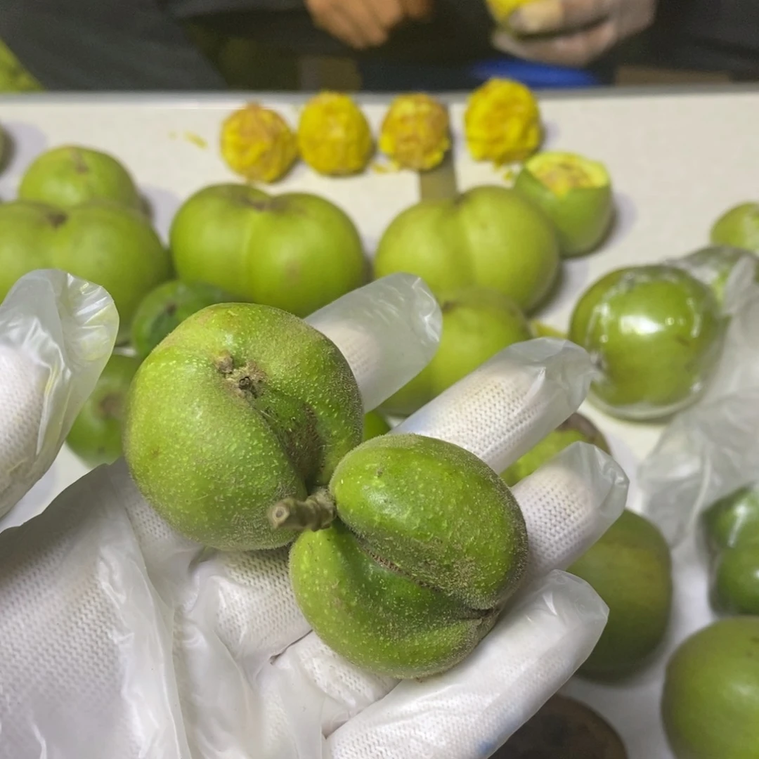 天***狼文玩核桃把件蛇头不退不换