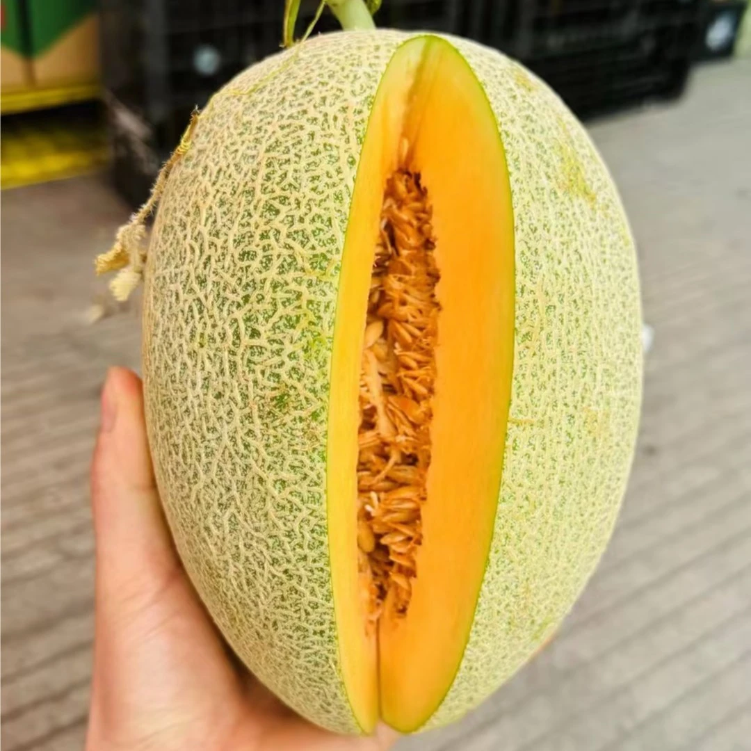 【1个】哈密瓜B，一个约2-3斤，口感脆甜，新鲜水果，可加工，哈蜜瓜