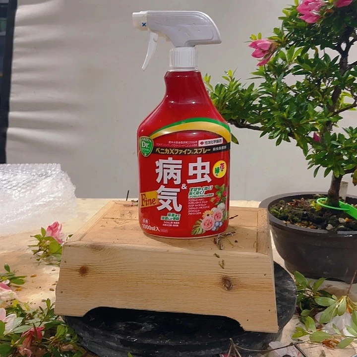 完全开放惊*杜鹃杜鹃杜鹃杜鹃杜鹃杜鹃杜鹃