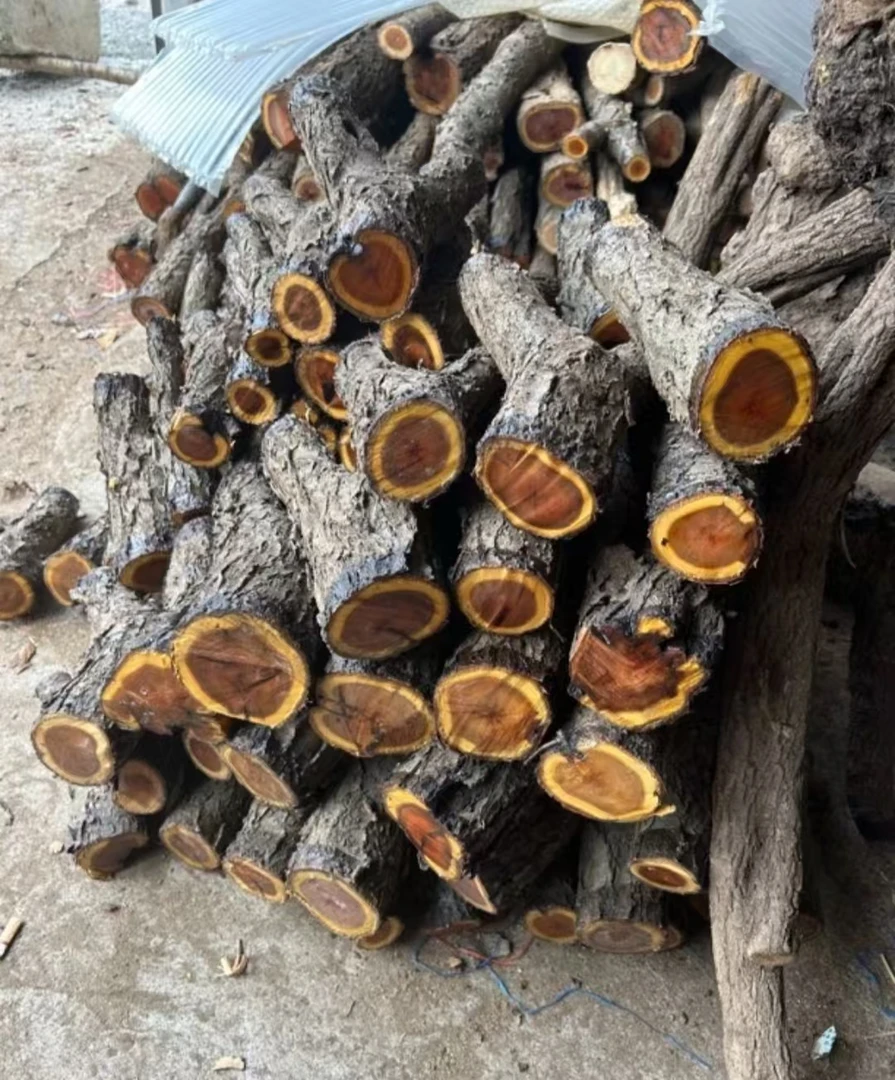 火琉璃麻利疙瘩原木