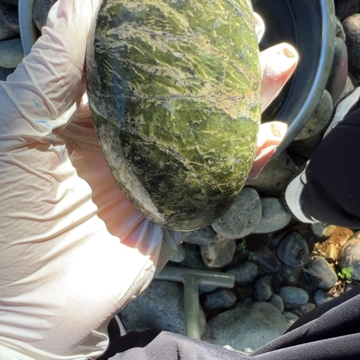 好***猫长石玉未镶嵌藏玉药王石