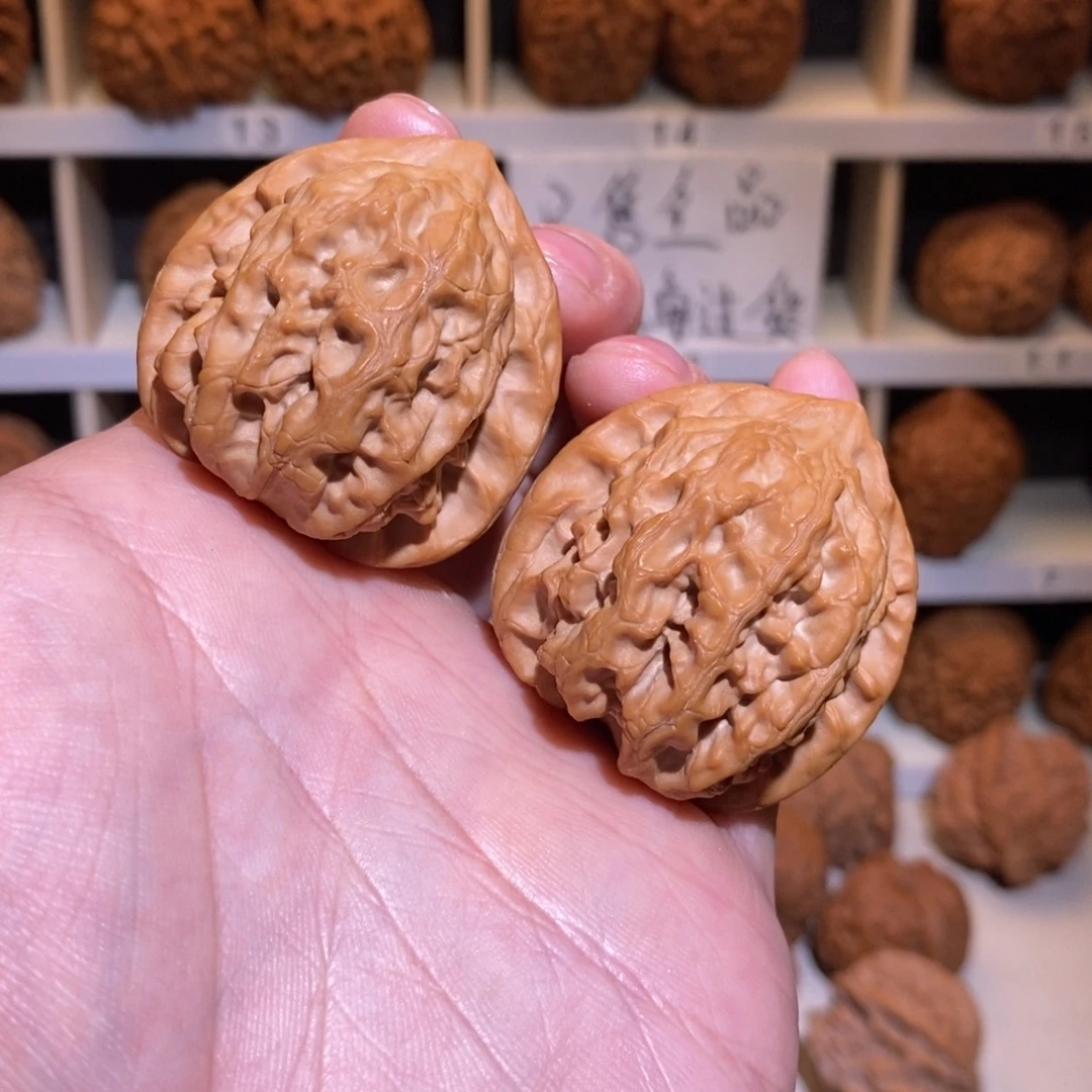 40尺 全品无修白茬 毕业梨木台