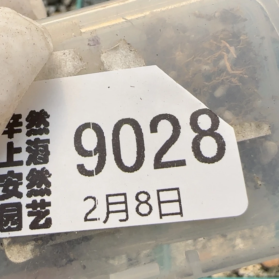 叶**?2.8，饼干，9028？，