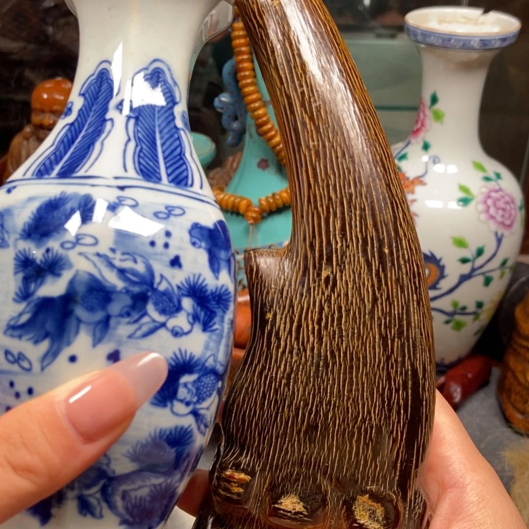 主播节目主持人和主持人的工作