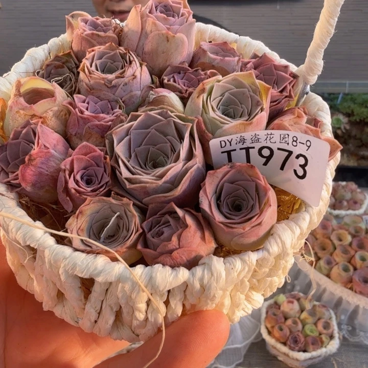 TT973 玫瑰组合花篮