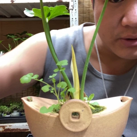 红陶舒*柜一物一拍所见即所得111