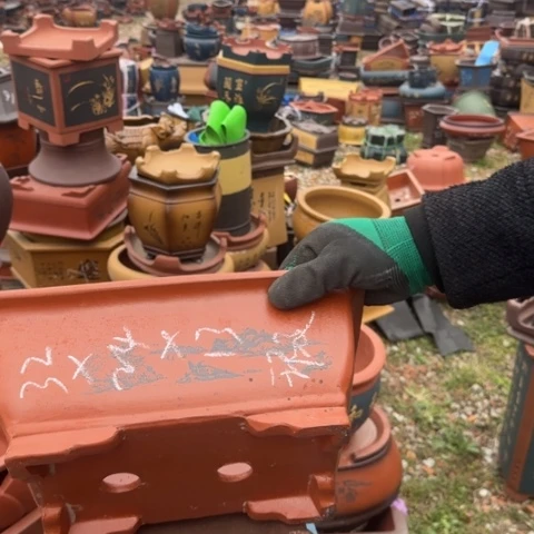 紫砂花盆紫砂花盆盆景盆栽瑕疵