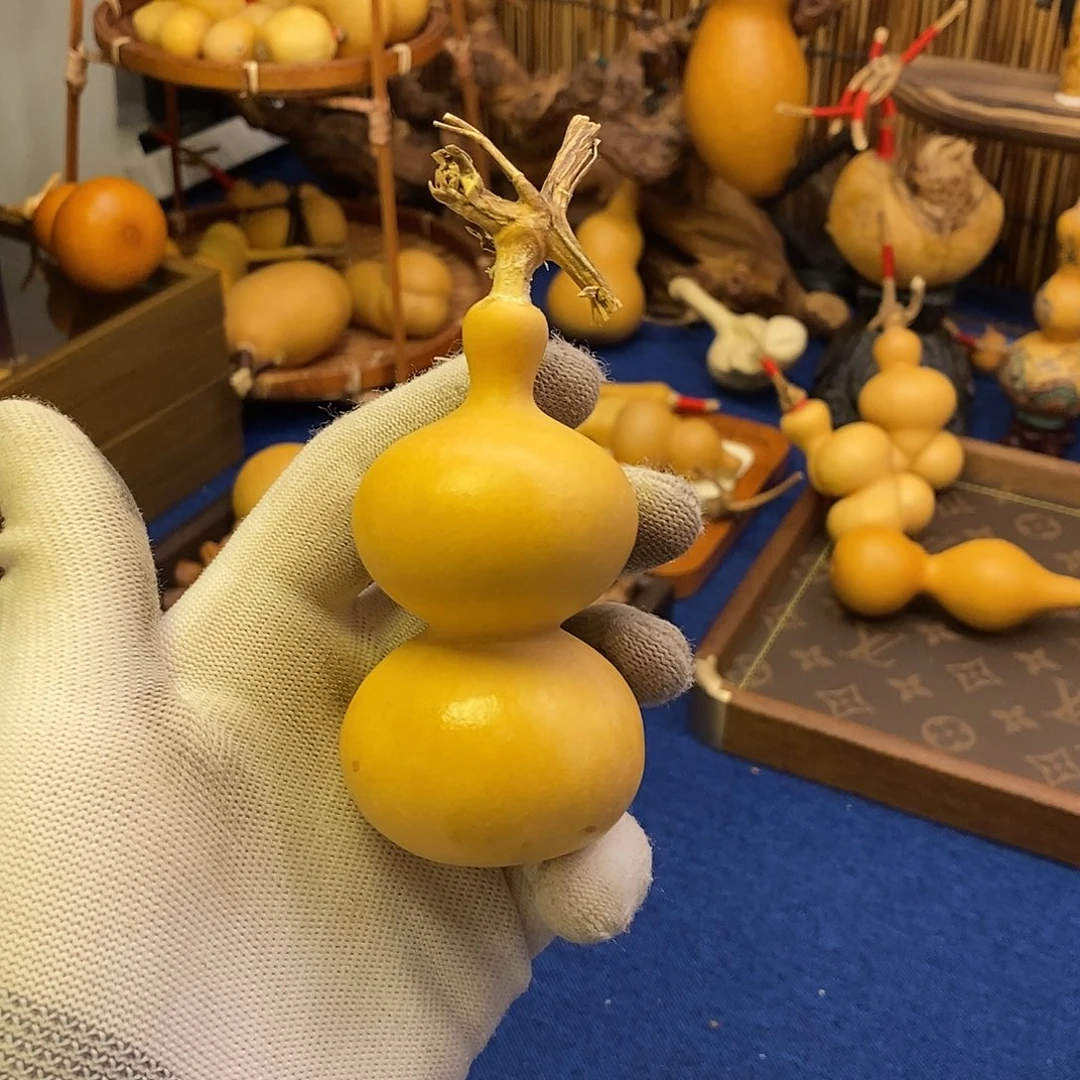 新****司舍的出品精选天然葫芦