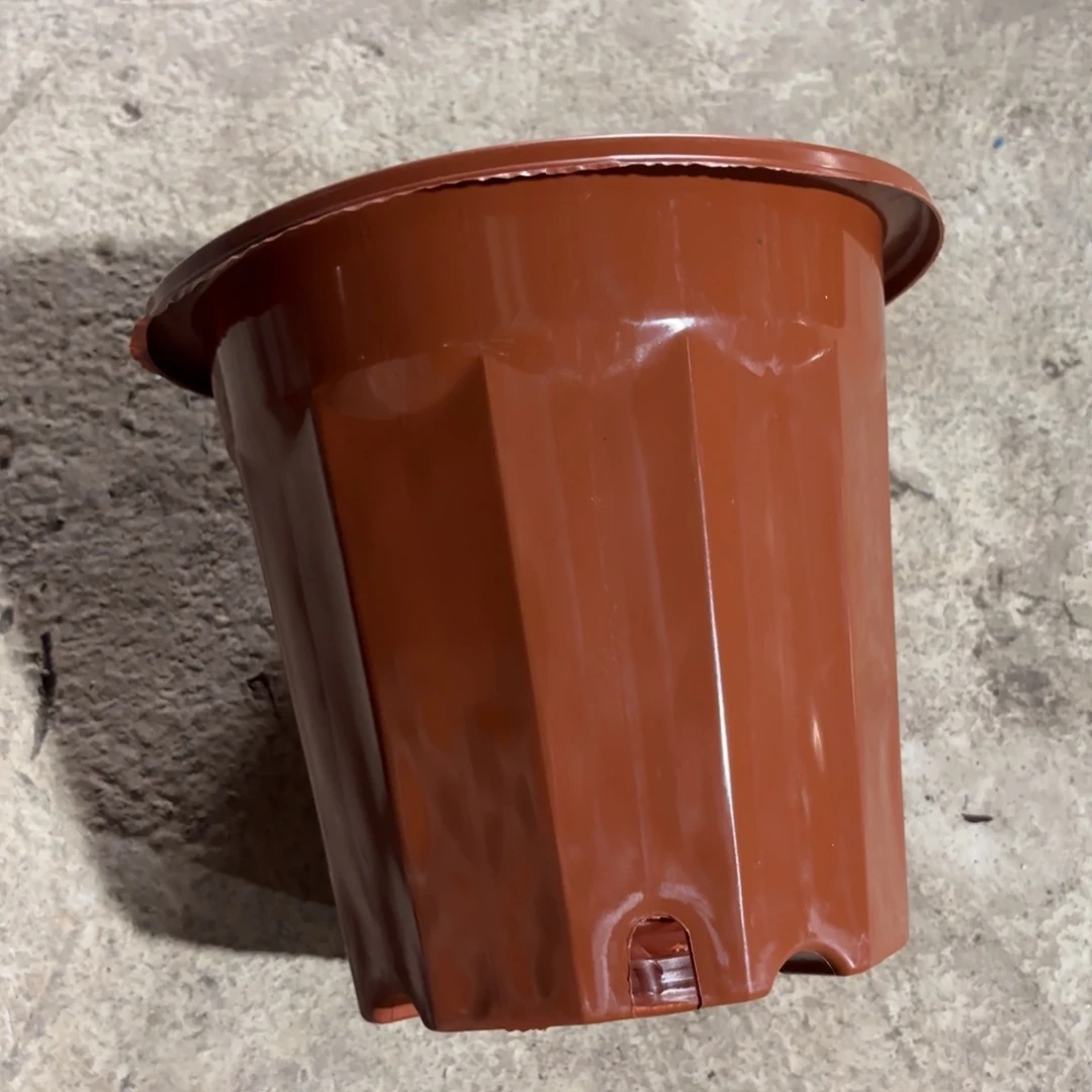 红砖盆230口径发10个