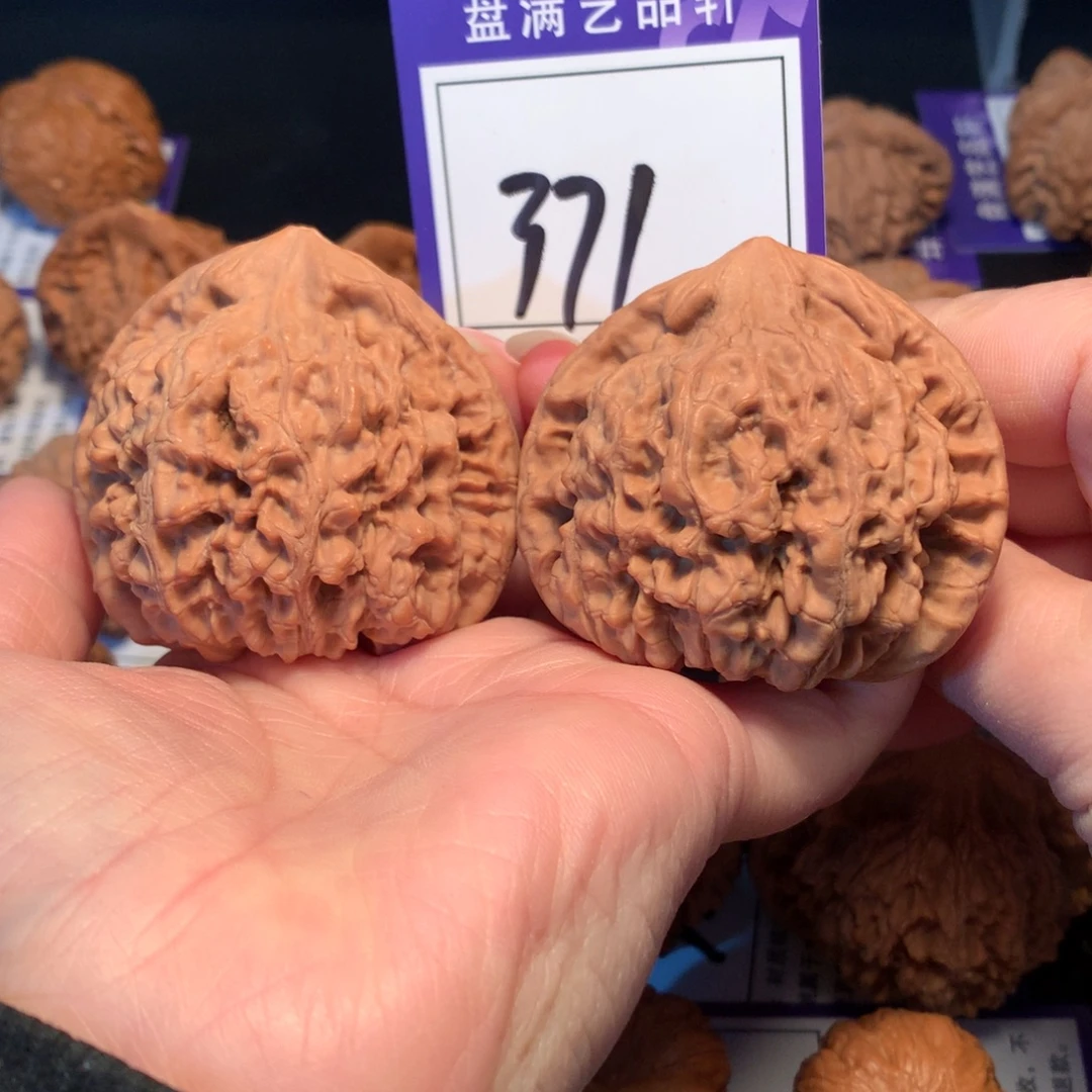 核桃371官帽5.4全品
