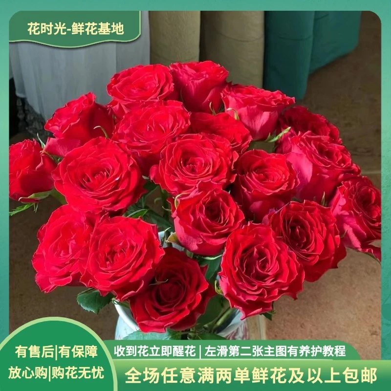 【珍爱】10枝珍爱单头玫瑰  基地直发 | 全场任意满两单鲜花包邮