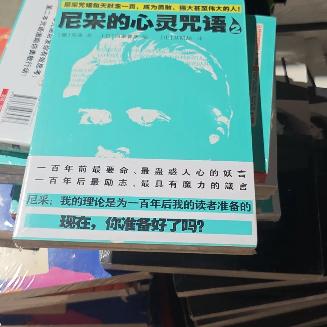 尼采的心灵咒语平装塑封库存书