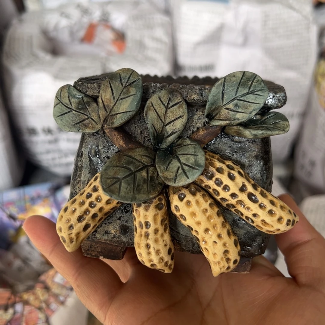 青藤多肉花盆百搭