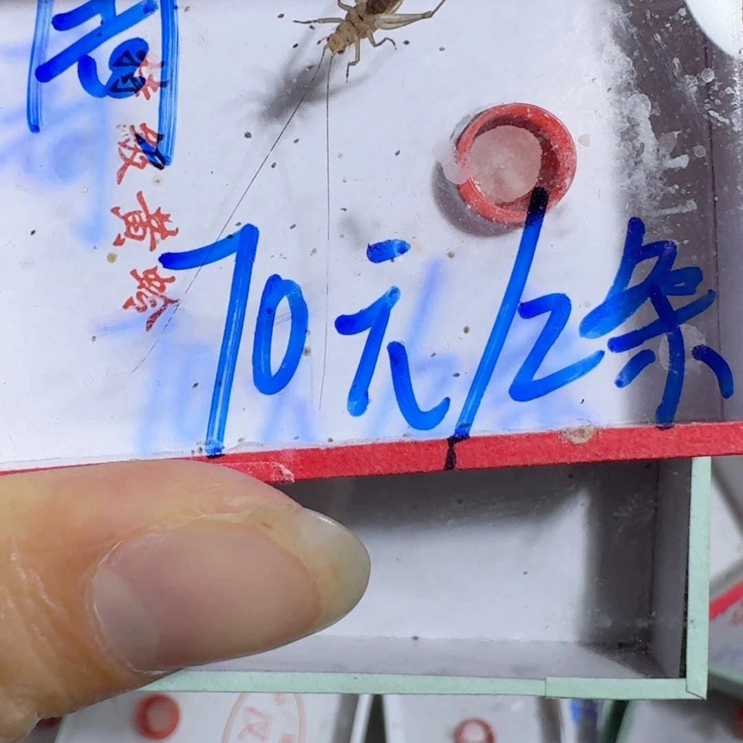 老***周蟋蟀蝈蝈你的电话怎么一直关机呢你