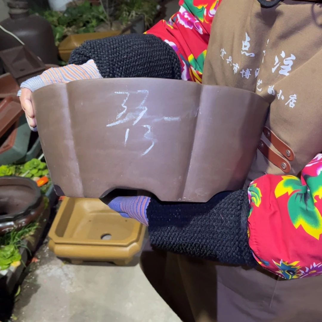 紫砂花盆盆景艺术