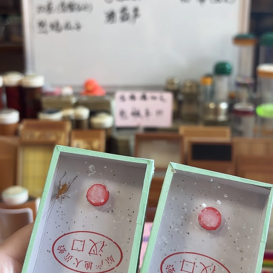 两条中须人工大黄蛉