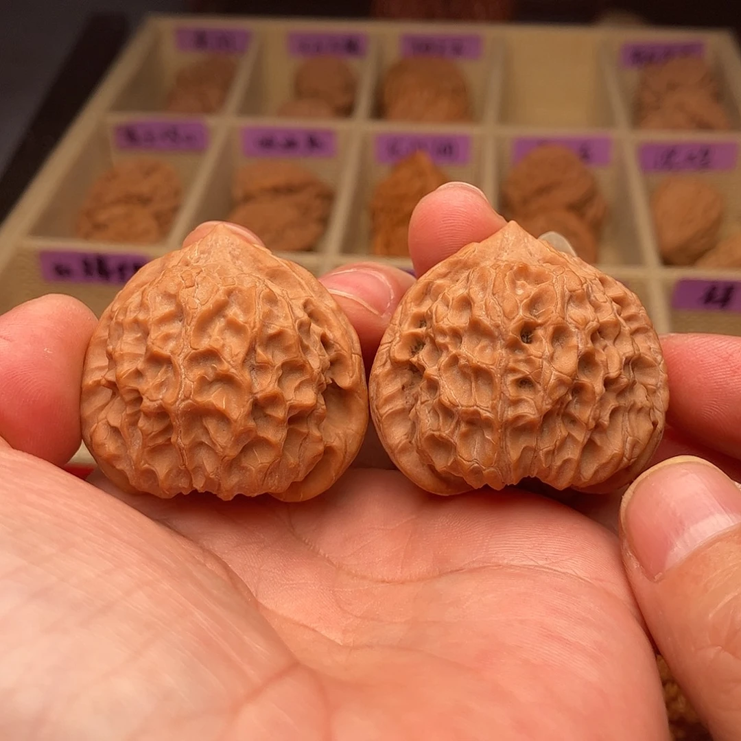 文玩核桃把件野生角蛙39（头货精品