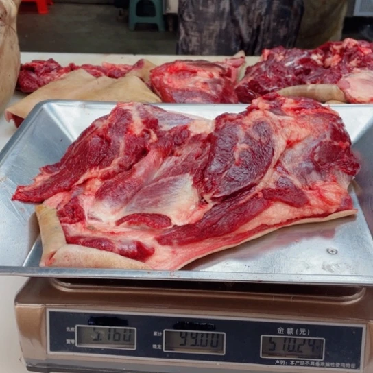 【闪购商品】冷冻保存30天包装河北省广****司