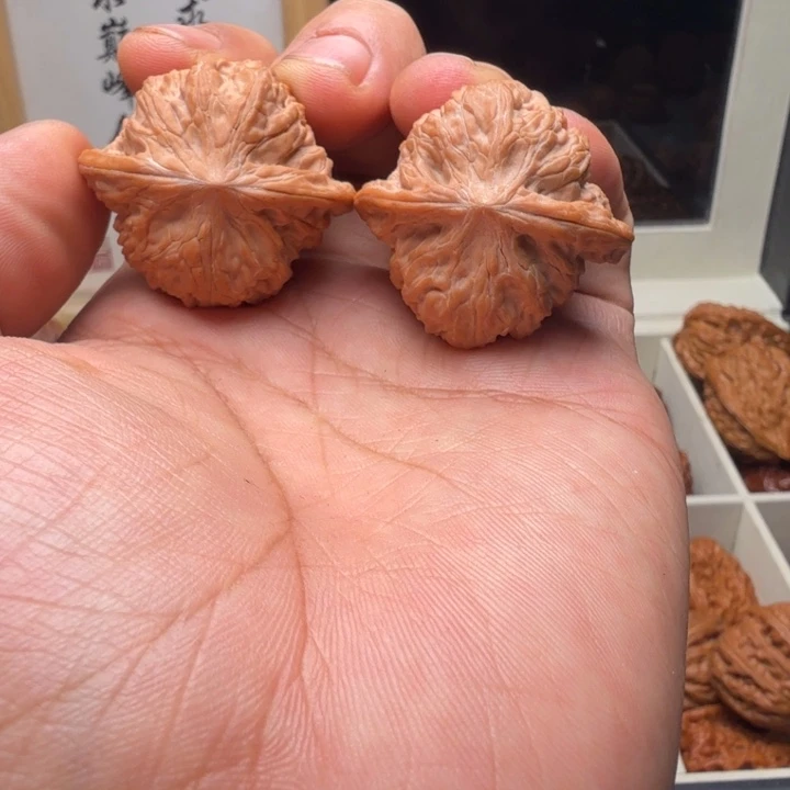 35尺寸山地磨盘狮子头