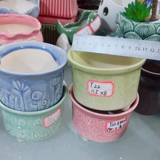 红陶11111111111111111