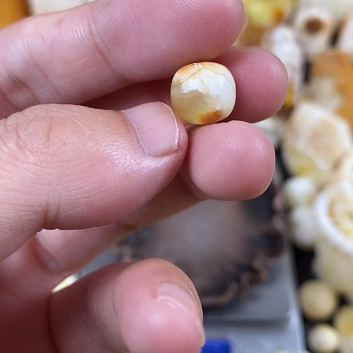 未镶嵌琥珀裸石我