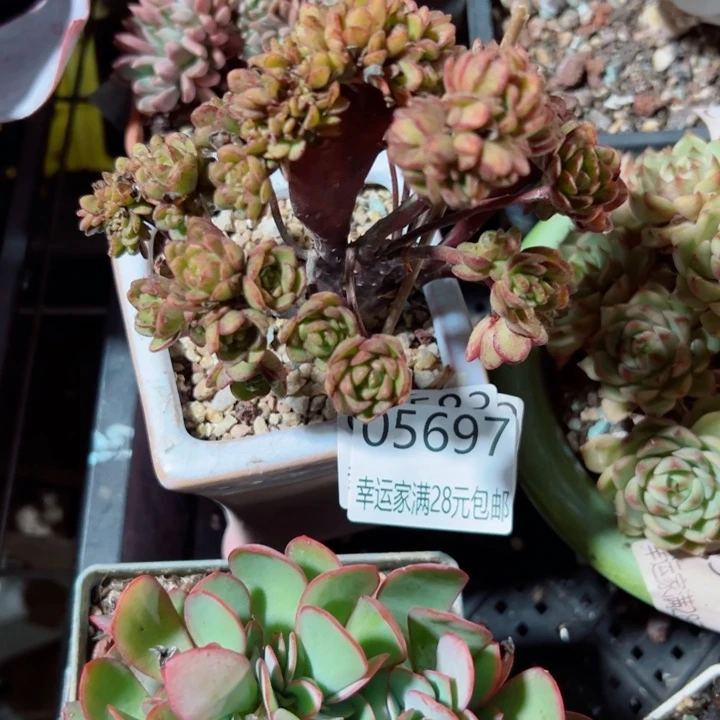 幸运的是我还没遇到