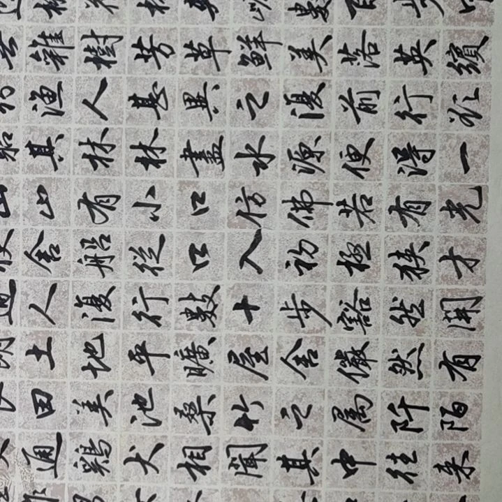 书法桃花源记书法作品