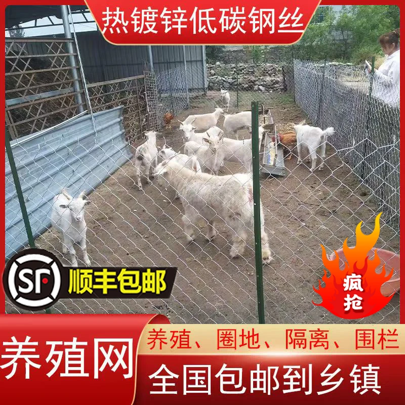 热镀锌铁丝网围栏果园养殖防护钢丝网养鸡养狗牛羊圈地勾花网格网