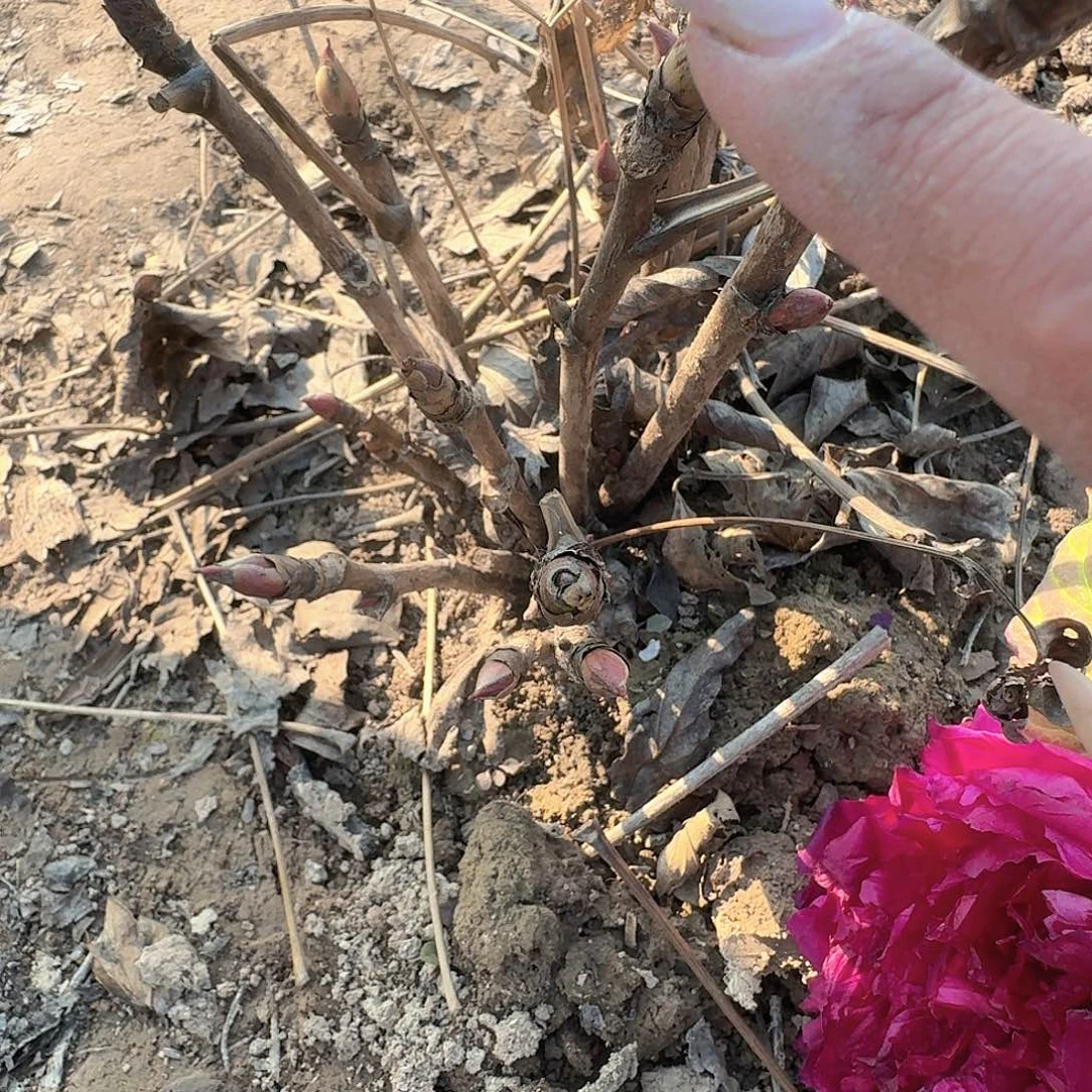 完全开放11111111111