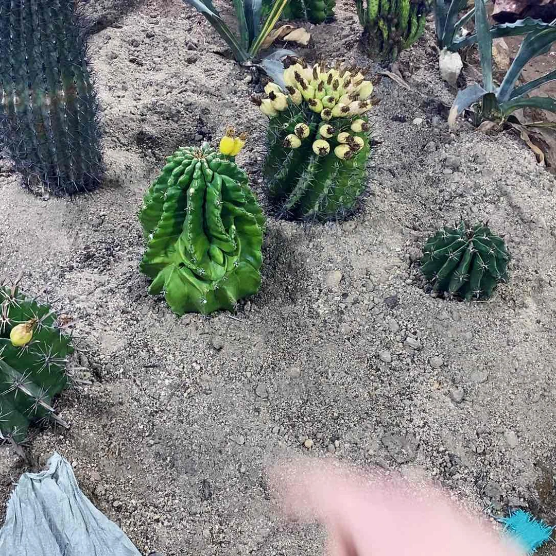 用****900000000000000000