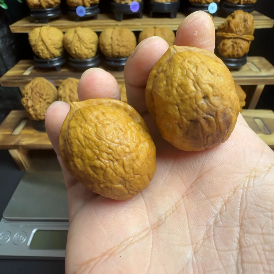 文玩核桃把件10号粗筋屁桃36尺