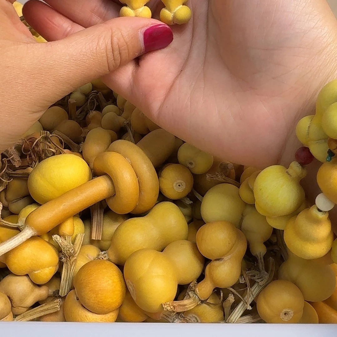 驰***下大叶紫檀（黑酸枝木类）