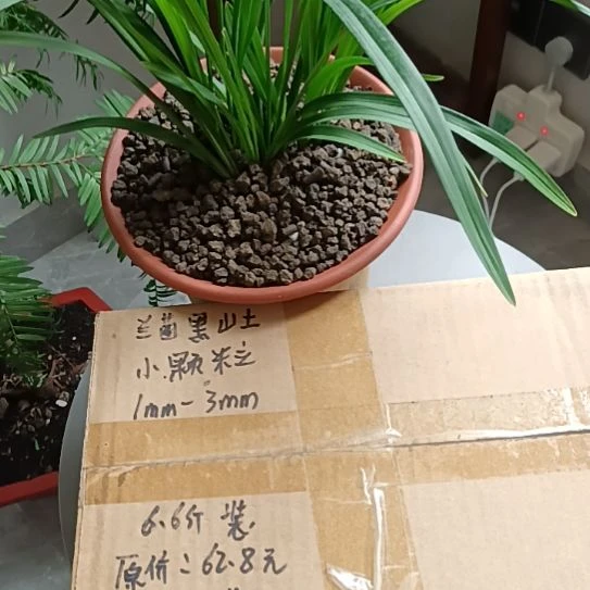 H****兰菌颗粒小颗粒6.6斤