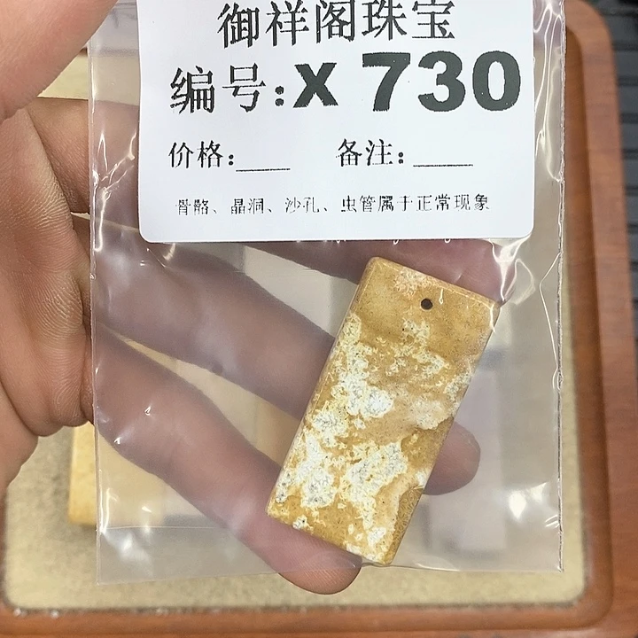 硅化珊瑚（珊瑚玉）颈饰未镶嵌玖*