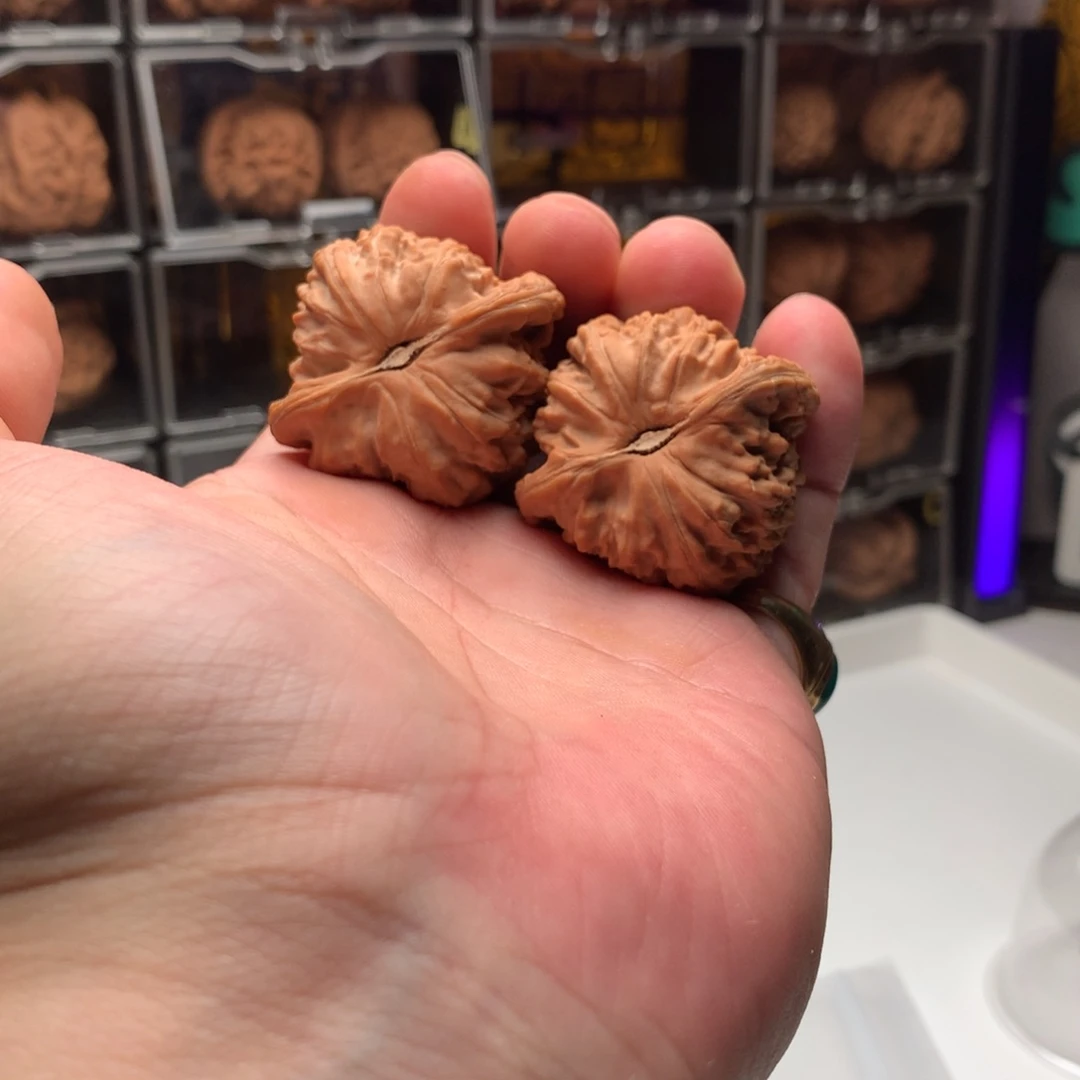 阿***羔桃核吊坠白狮子666888