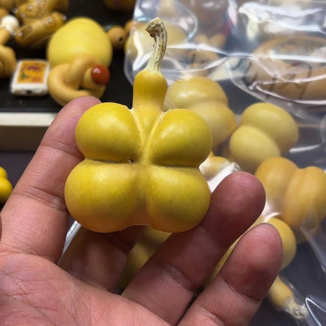 、***丁精品蝴蝶一把抓一把握