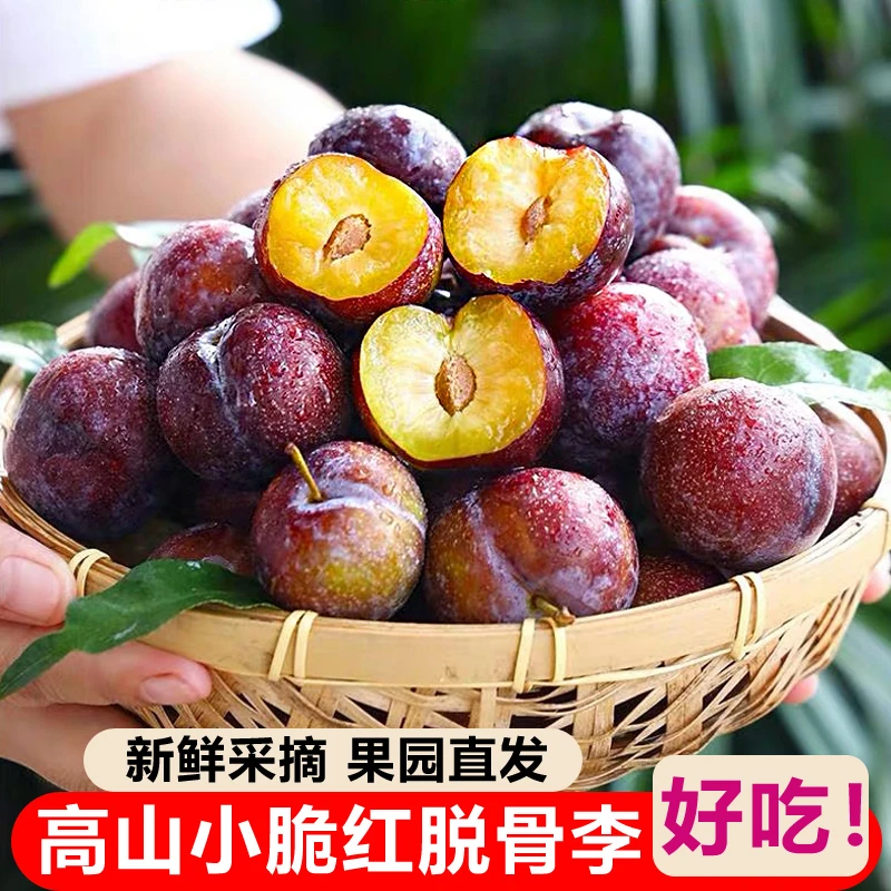 四川高山脆红脱骨李子新鲜当季水果脆甜整箱青红脆李脆甜脱骨