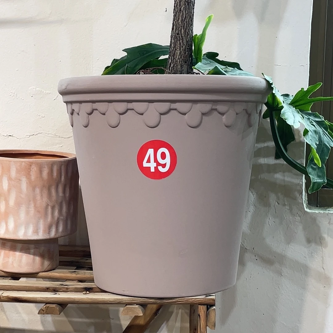 红陶30×29花盆一个