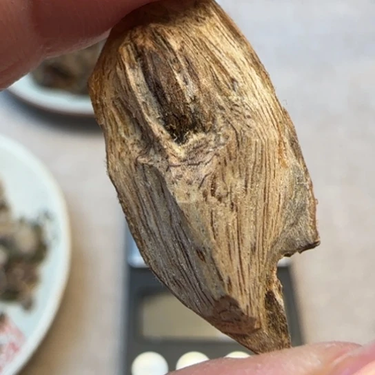 摆件沉香惠东虎斑棋0.5克