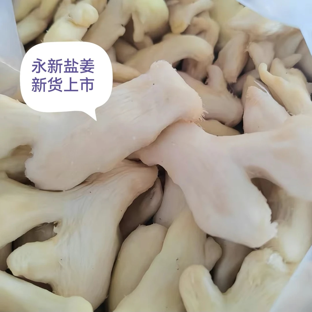 永新盐姜新货上市